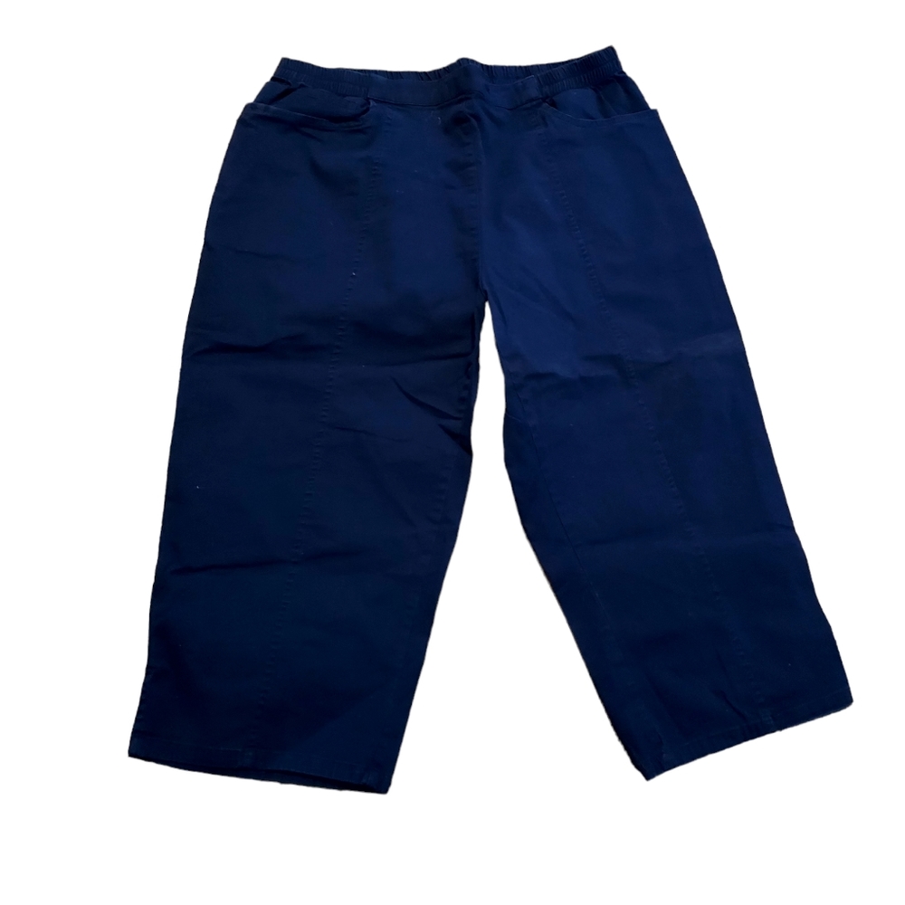 c d daniels 1x Blue Trousers Pants Cropped Pullon Stretch. Dimensions  waist 34"